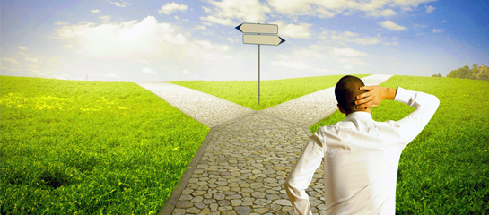 What Career Path do I choose?